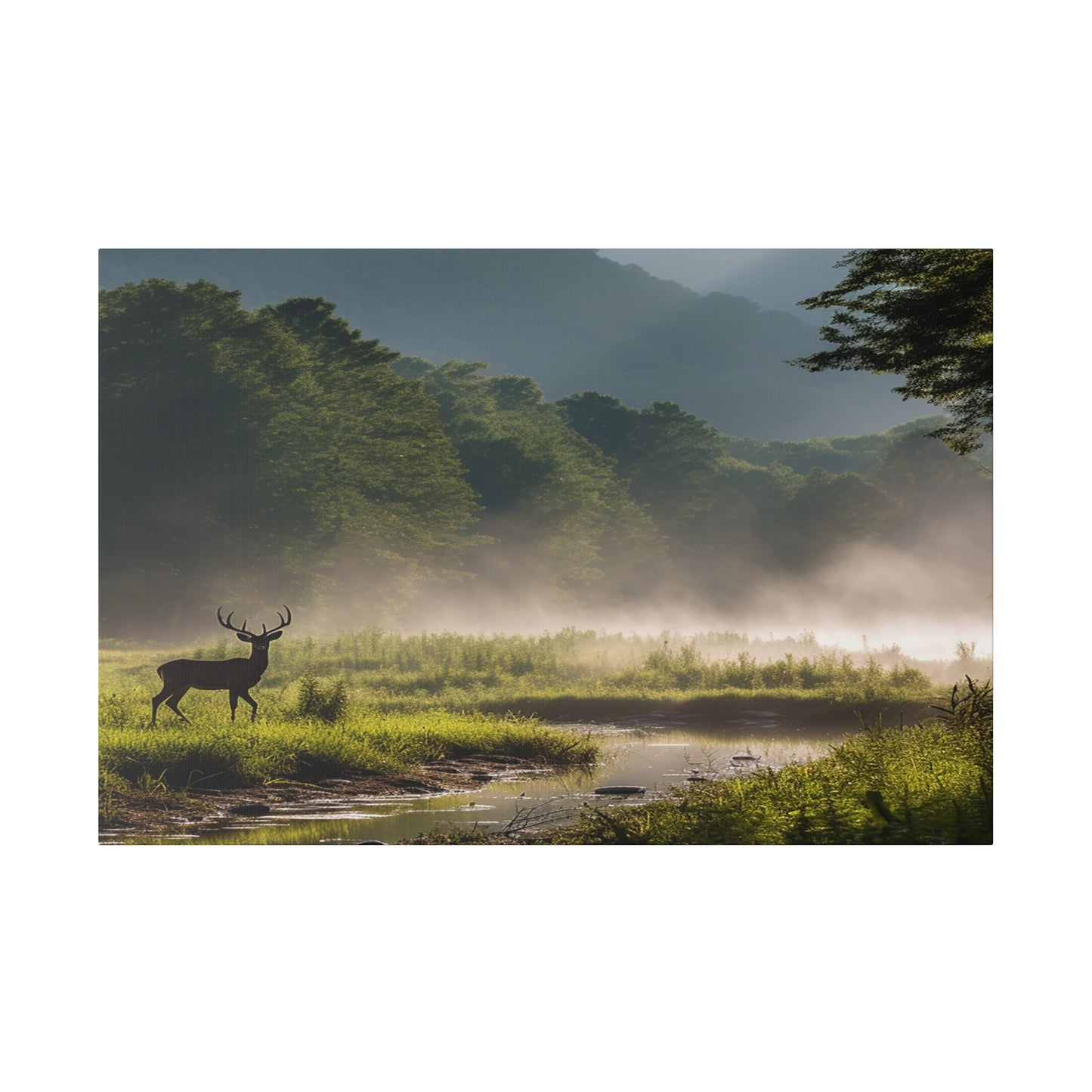 Great Smoky Mountains National Park Deer in Field with Creek Matte Canvas, Stretched, 0.75"