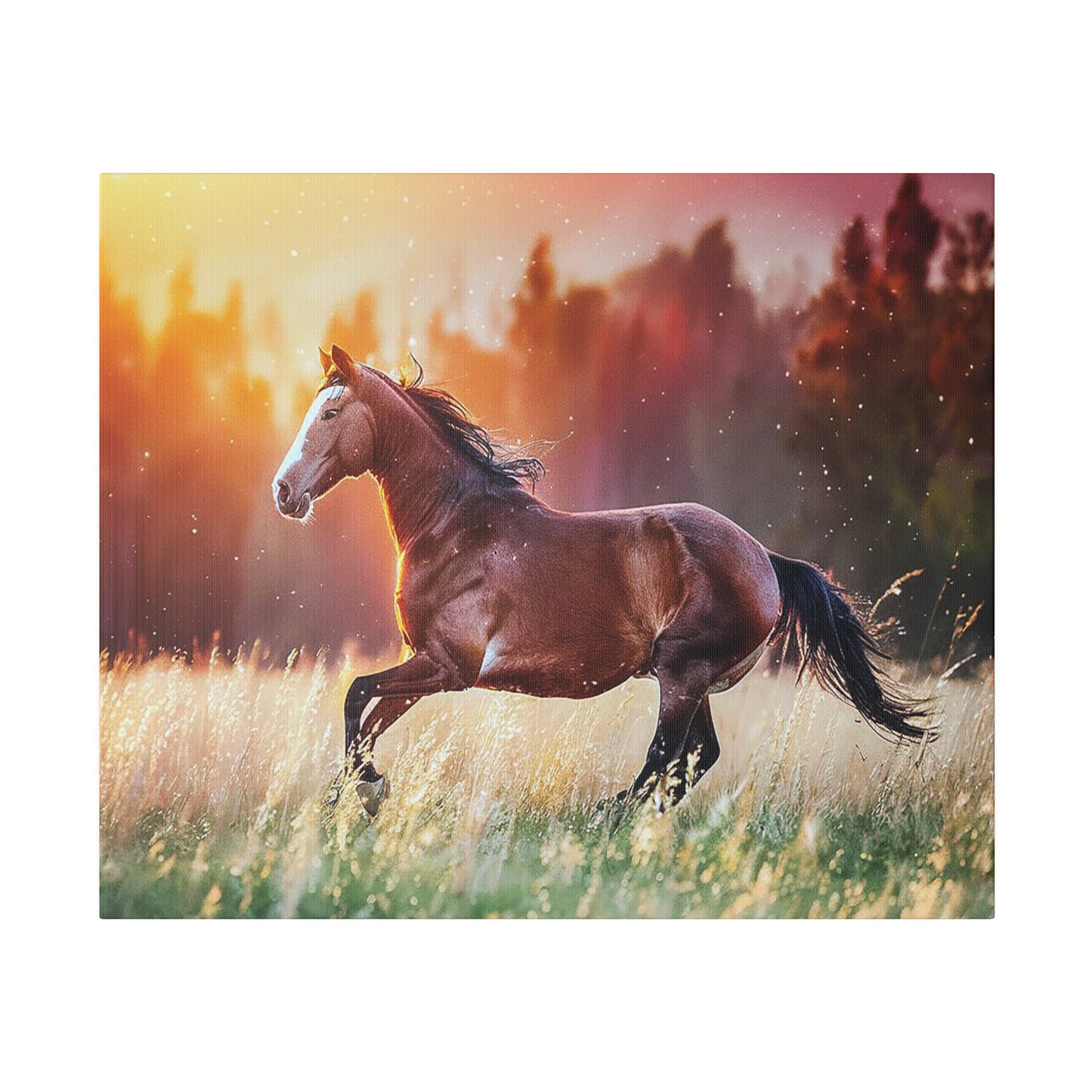 Great Smoky Mountains National Parks Horse Running through Field Matte Canvas, Stretched, 0.75"