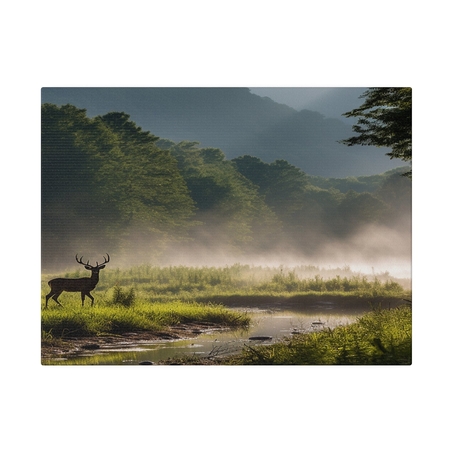 Great Smoky Mountains National Park Deer in Field with Creek Matte Canvas, Stretched, 0.75"