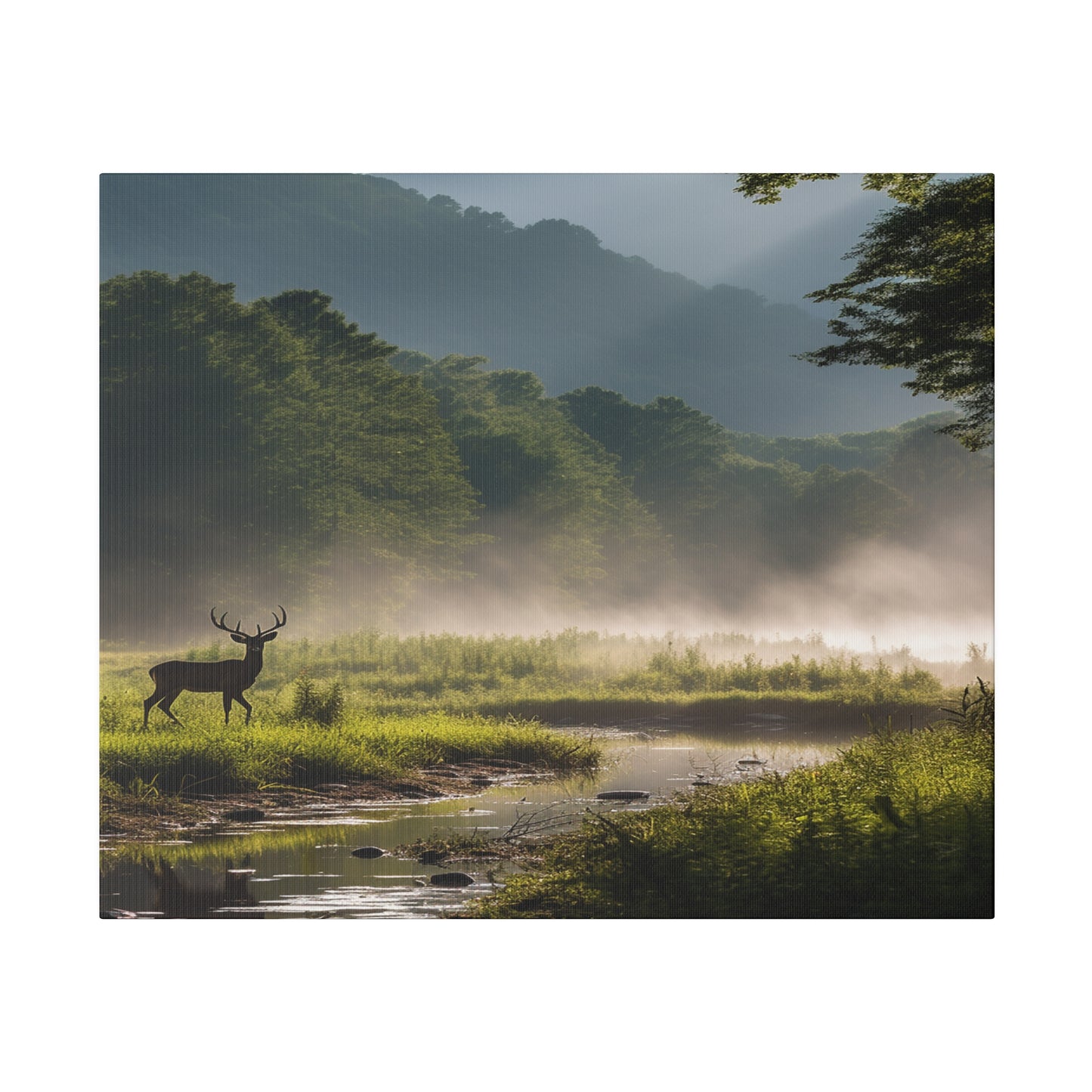 Great Smoky Mountains National Park Deer in Field with Creek Matte Canvas, Stretched, 0.75"