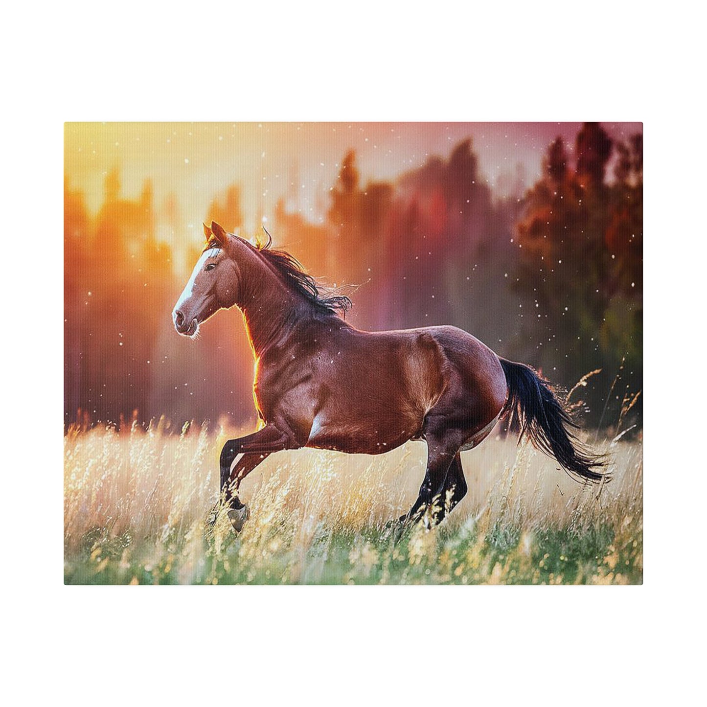 Great Smoky Mountains National Parks Horse Running through Field Matte Canvas, Stretched, 0.75"