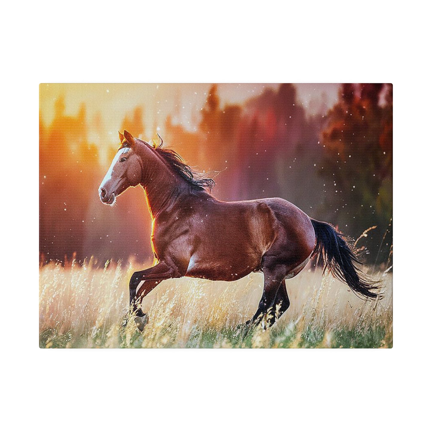 Great Smoky Mountains National Parks Horse Running through Field Matte Canvas, Stretched, 0.75"