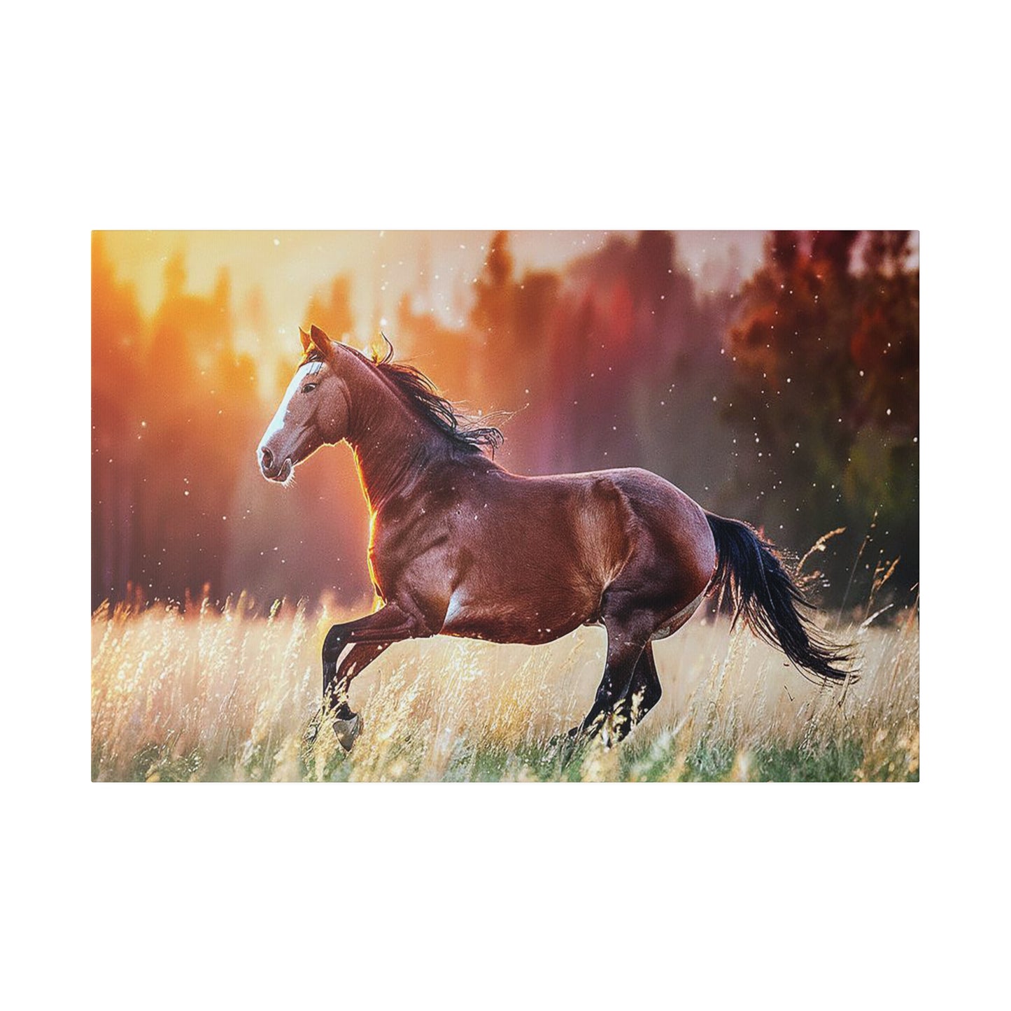 Great Smoky Mountains National Parks Horse Running through Field Matte Canvas, Stretched, 0.75"