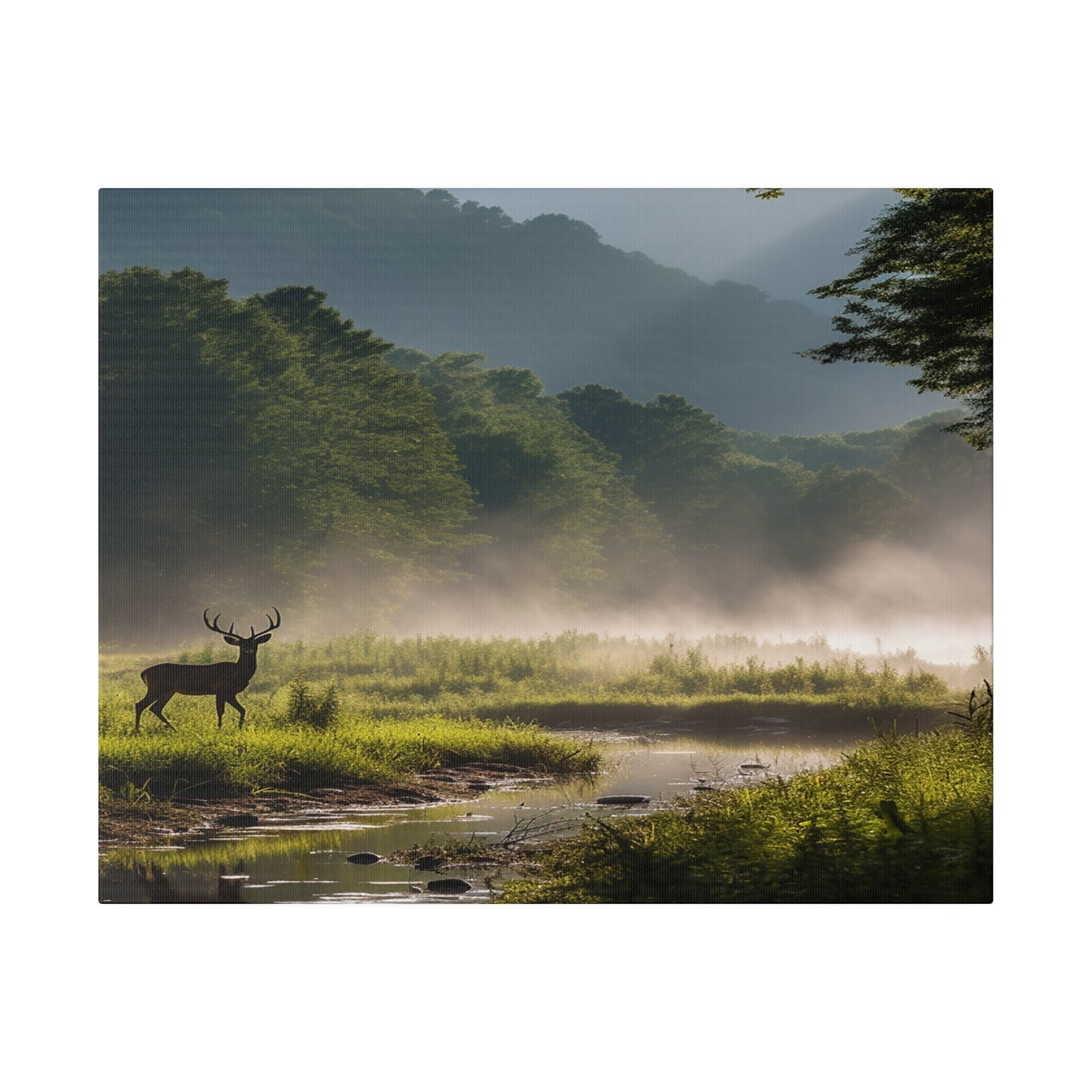 Great Smoky Mountains National Park Deer in Field with Creek Matte Canvas, Stretched, 0.75"